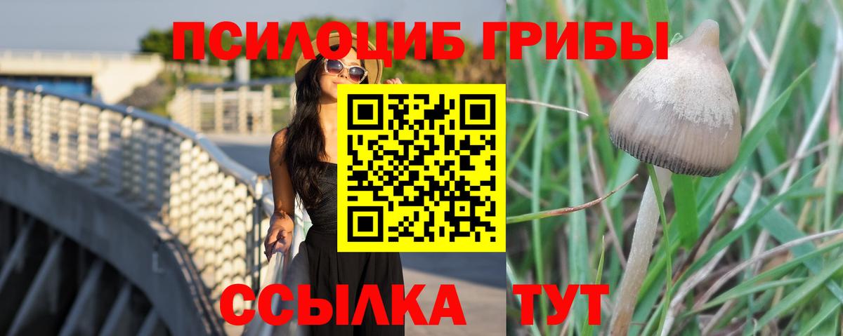 Галлюциногенные грибы Psilocybine cubensis  Вход с VPN  Усть-Илимск 